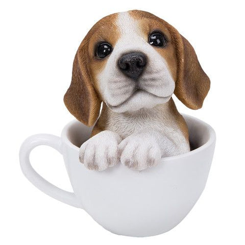 PA0048-Pup in Cup : LG