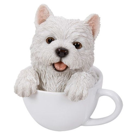 PA0043-Pup in Cup : LG