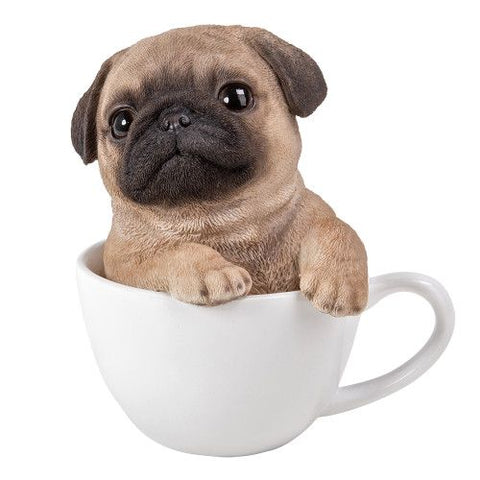 PA0045-Pup in Cup : LG