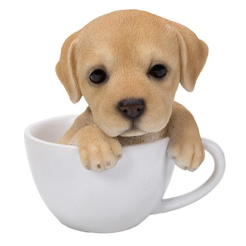 PA0049-Pup in Cup : LG