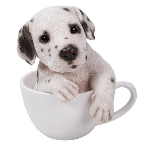 PA0050-Pup in Cup : LG