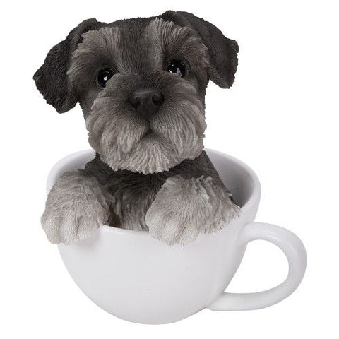 PA0051-Pup in Cup : LG