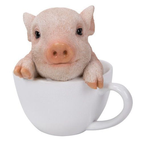 PA0052-Pig in Cup : LG