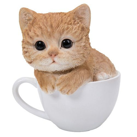 PA0053-Cat in Cup : LG