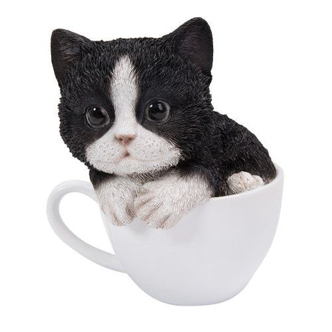 PA0054-Cat in Cup : LG
