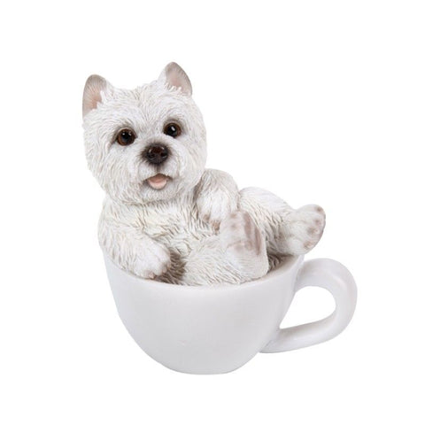 PA0015-Pup in Cup : Mini