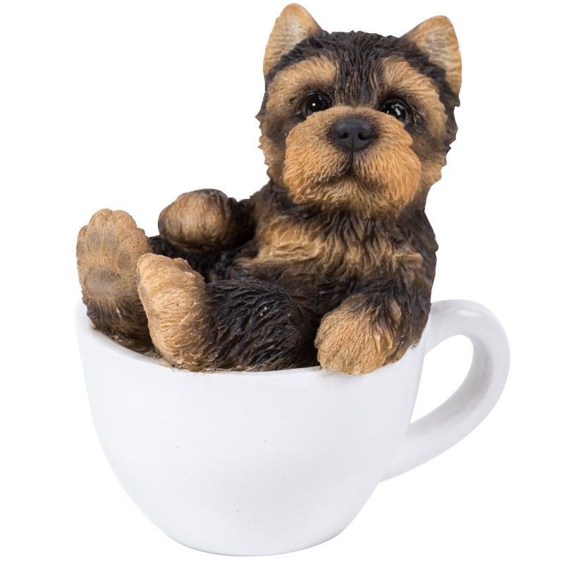 PA0019-Pup in Cup : Mini