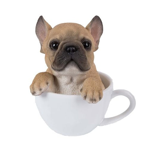 PA0055-Pup in Cup : LG
