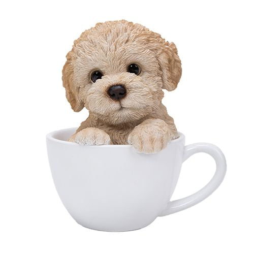 PA0056-Pup in Cup