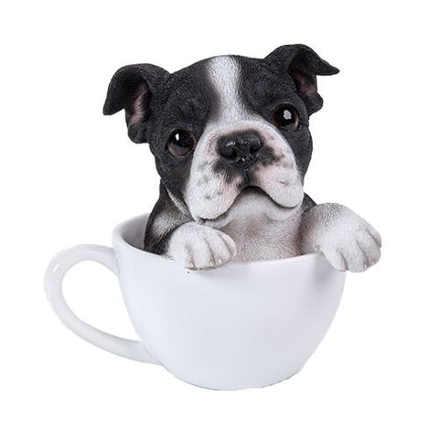 PA0057-Pup in Cup : LG