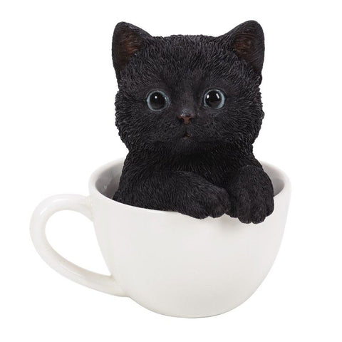 PA0059-Cat in Cup : LG