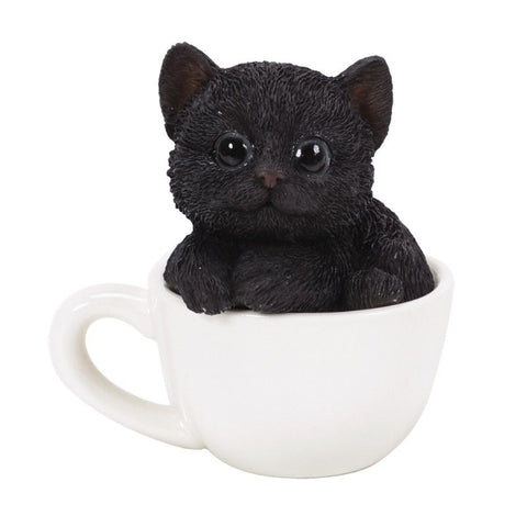 PA0024-Cat in Cup : Mini