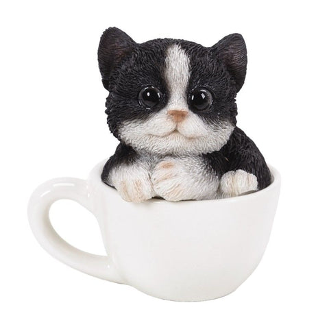 PA0026-Cat in Cup : Mini