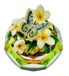KU0084-Butterfly