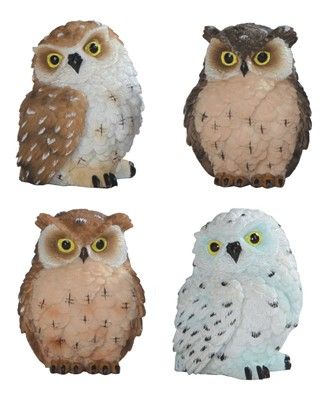 GC1129-OWL : n/box