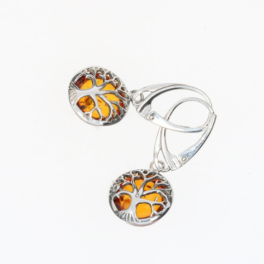 AM0200 - Amber Earrings