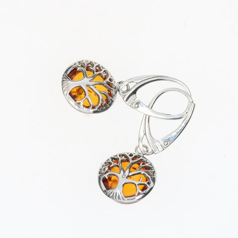 AM0200 - Amber Earrings