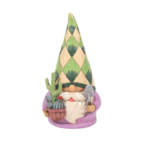 EP7897-Succulent Gnome