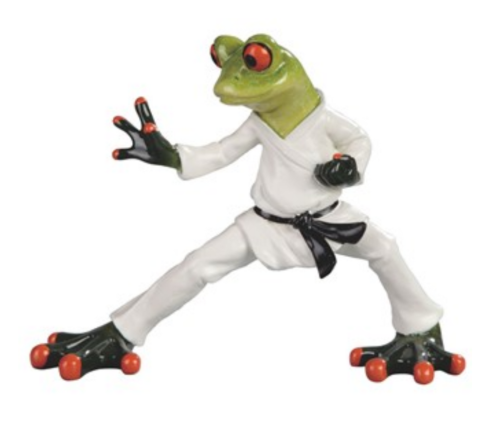 GC1164-FROG : Taekwondo
