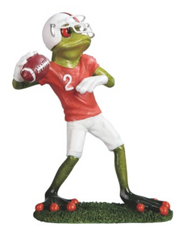 GC1172-FROG : Football