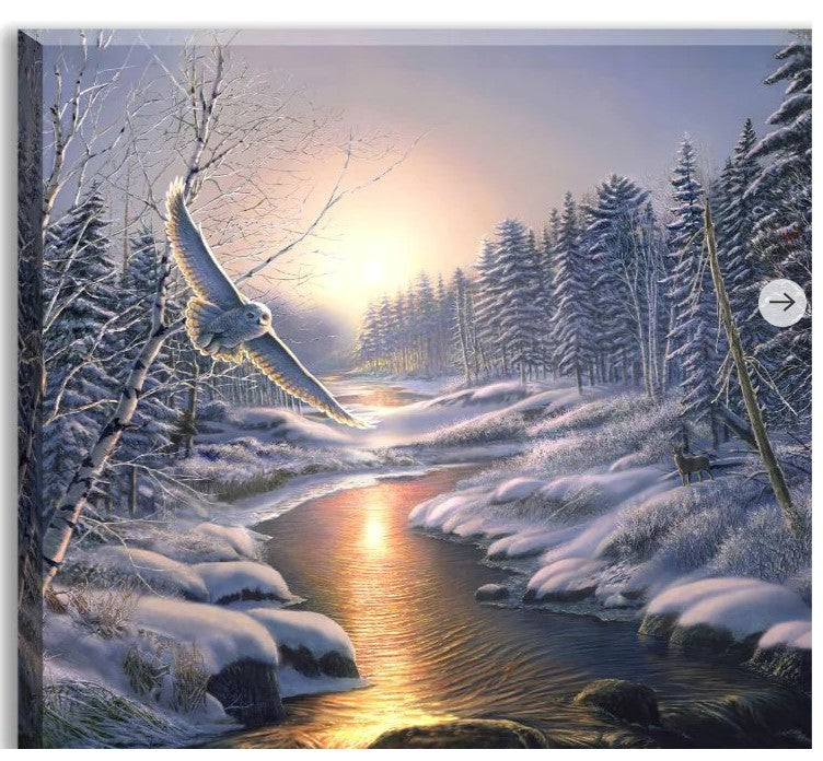 GD0128-LED Canvas : BIRDS Snowy Owl