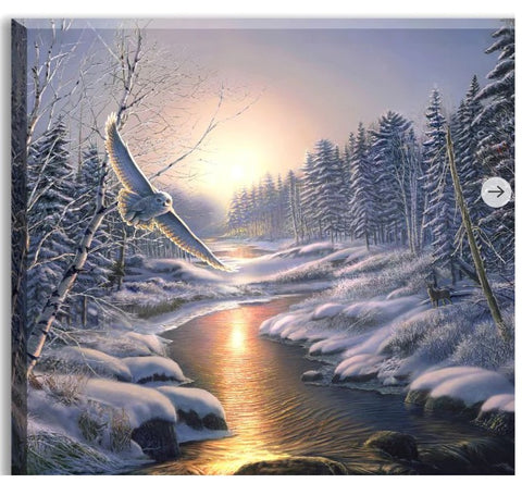 GD0128-LED Canvas : BIRDS Snowy Owl