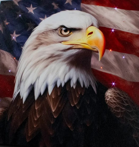 GD0132-LED Canvas : Patriotic Pride