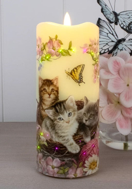 GD0133-LED Canvas : Sweet Kittens