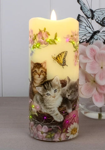GD0133-LED Canvas : Sweet Kittens