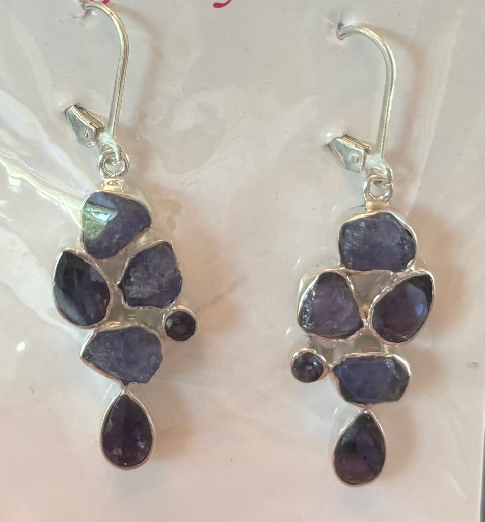 SS0406 - Tanzanite : ER