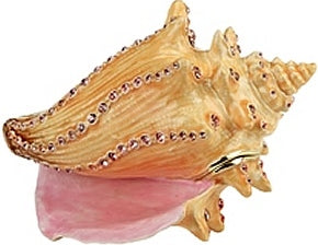 KU0141-Conch Shell : 3x2-3/4