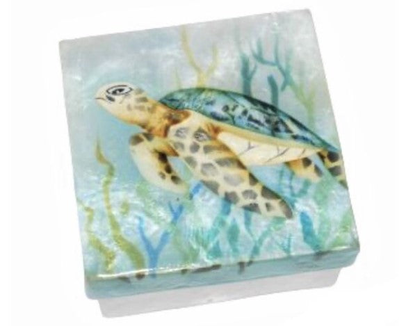 KU0161 - Capiz Box : Sea Turtle