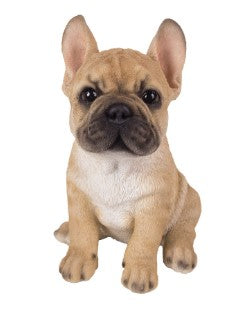 PA0098-Puppy Fig : LG