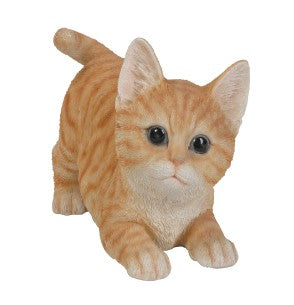 PA0100-Kitty Fig : LG