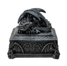 PA0102-Dragon TB
