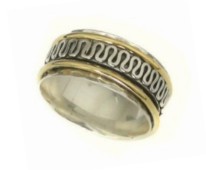 SS0369 - Spin Ring